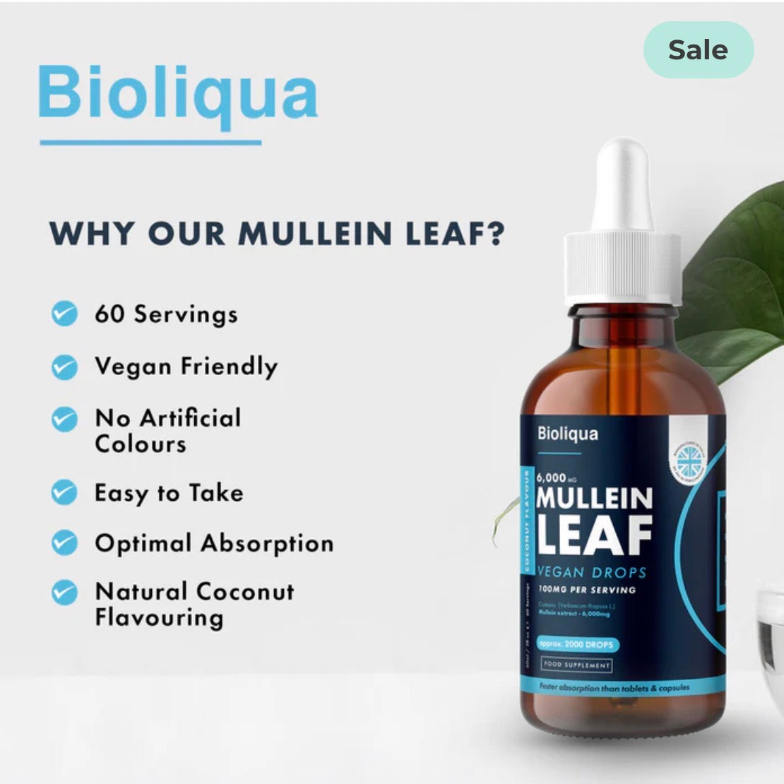 Mullein Leaf Liquid Drops | 60ml